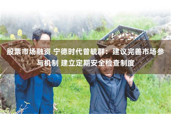 股票市场融资 宁德时代曾毓群：建议完善市场参与机制 建立定期安全检查制度
