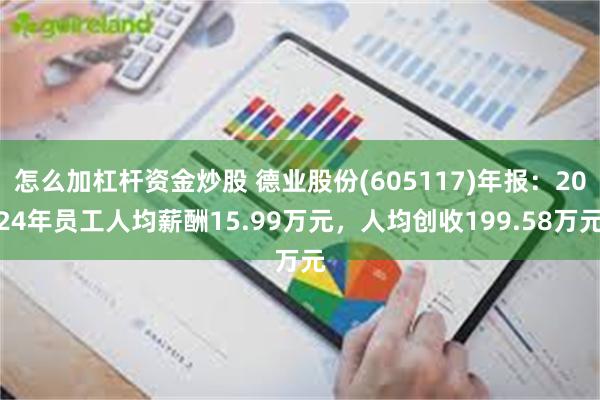 怎么加杠杆资金炒股 德业股份(605117)年报：2024年员工人均薪酬15.99万元，人均创收199.58万元