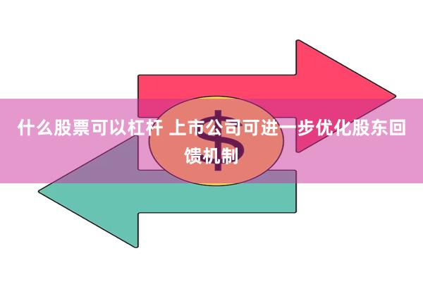 什么股票可以杠杆 上市公司可进一步优化股东回馈机制