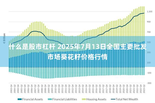 什么是股市杠杆 2025年7月13日全国主要批发市场葵花籽价格行情