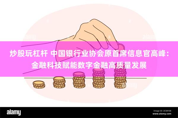 炒股玩杠杆 中国银行业协会原首席信息官高峰：金融科技赋能数字金融高质量发展