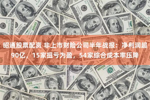 昭通股票配资 非上市财险公司半年战报：净利润超90亿，15家扭亏为盈，54家综合成本率压降