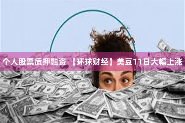 个人股票质押融资 【环球财经】美豆11日大幅上涨