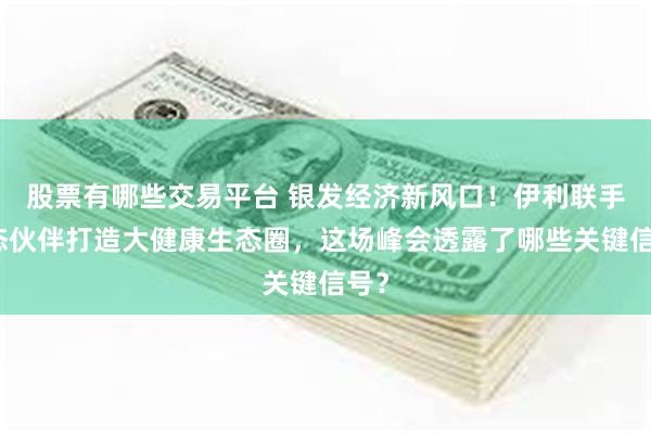 股票有哪些交易平台 银发经济新风口！伊利联手生态伙伴打造大健康生态圈，这场峰会透露了哪些关键信号？
