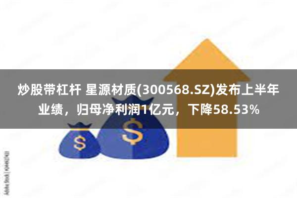 炒股带杠杆 星源材质(300568.SZ)发布上半年业绩，归母净利润1亿元，下降58.53%
