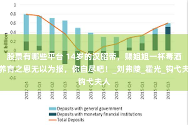 股票有哪些平台 14岁的汉昭帝，赐姐姐一杯毒酒：养育之恩无以为报，你自尽吧！_刘弗陵_霍光_钩弋夫人