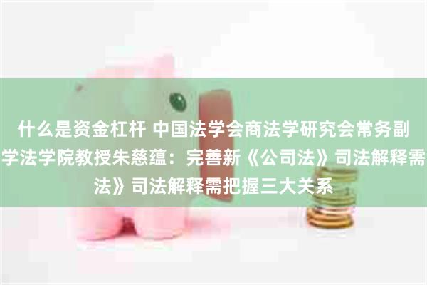 什么是资金杠杆 中国法学会商法学研究会常务副会长、清华大学法学院教授朱慈蕴：完善新《公司法》司法解释需把握三大关系