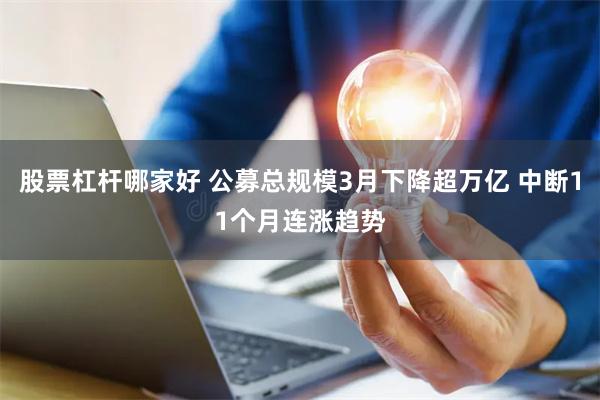 股票杠杆哪家好 公募总规模3月下降超万亿 中断11个月连涨趋势