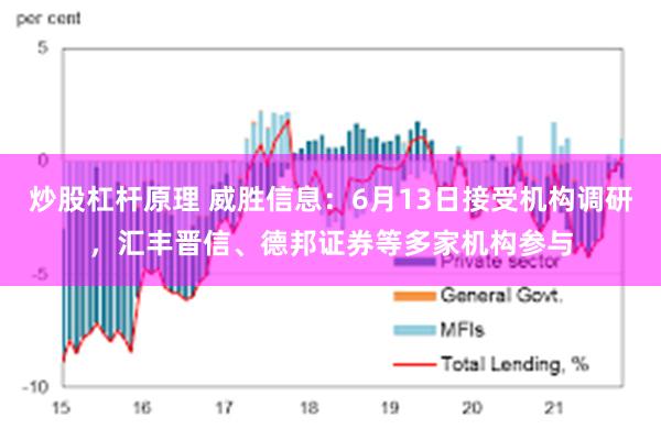 炒股杠杆原理 威胜信息：6月13日接受机构调研，汇丰晋信、德邦证券等多家机构参与