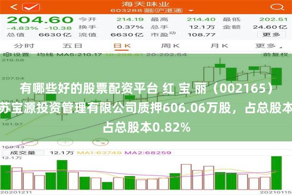有哪些好的股票配资平台 红 宝 丽（002165）股东江苏宝源投资管理有限公司质押606.06万股，占总股本0.82%