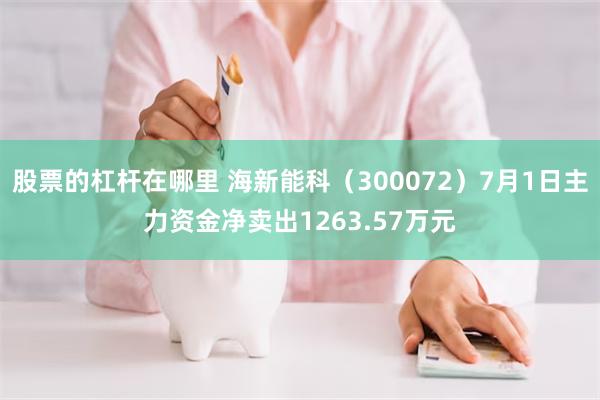 股票的杠杆在哪里 海新能科（300072）7月1日主力资金净卖出1263.57万元