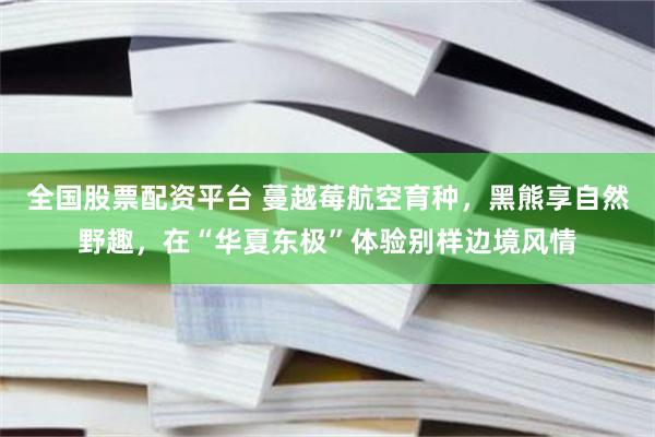 全国股票配资平台 蔓越莓航空育种，黑熊享自然野趣，在“华夏东极”体验别样边境风情