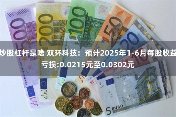 炒股杠杆是啥 双环科技：预计2025年1-6月每股收益亏损:0.0215元至0.0302元