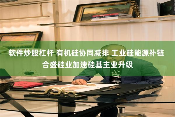 软件炒股杠杆 有机硅协同减排 工业硅能源补链 合盛硅业加速硅基主业升级