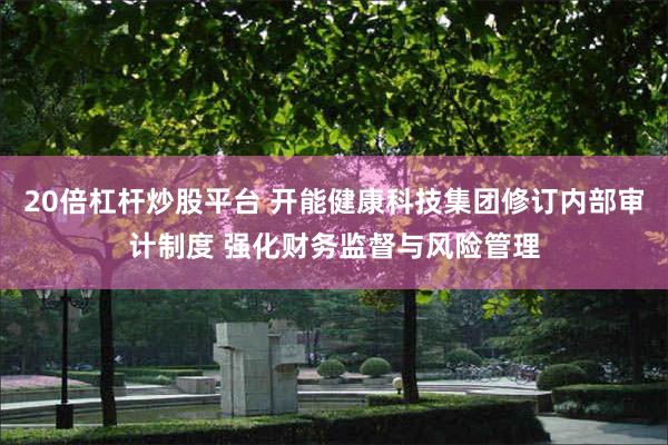 20倍杠杆炒股平台 开能健康科技集团修订内部审计制度 强化财务监督与风险管理