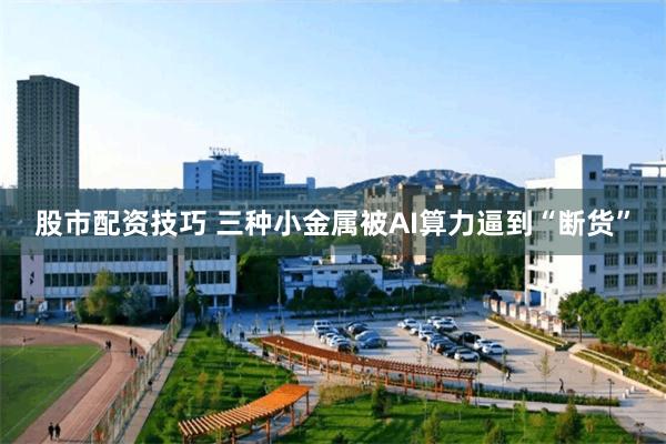 股市配资技巧 三种小金属被AI算力逼到“断货”