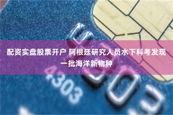 配资实盘股票开户 阿根廷研究人员水下科考发现一批海洋新物种