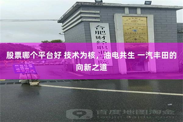 股票哪个平台好 技术为核，油电共生 一汽丰田的向新之道
