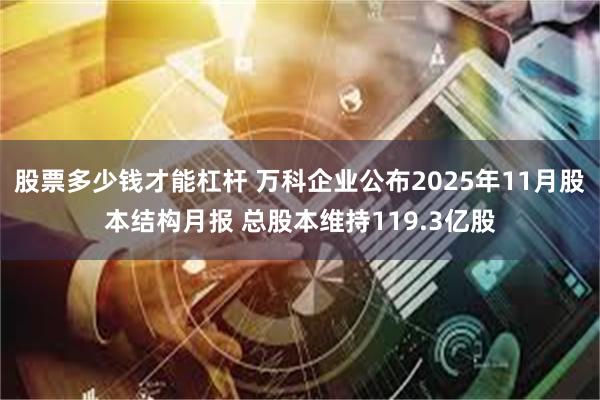 股票多少钱才能杠杆 万科企业公布2025年11月股本结构月报 总股本维持119.3亿股