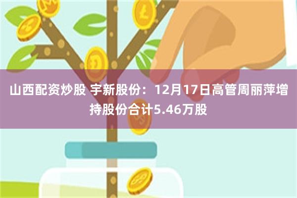 山西配资炒股 宇新股份：12月17日高管周丽萍增持股份合计5.46万股