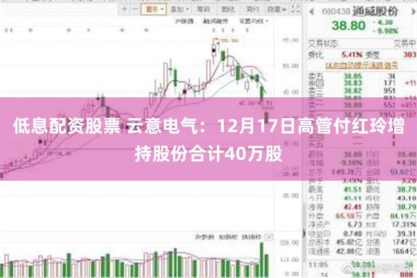 低息配资股票 云意电气：12月17日高管付红玲增持股份合计40万股