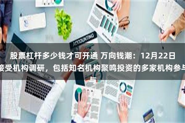 股票杠杆多少钱才可开通 万向钱潮:12月22日接受机构调研,包括知名机构聚鸣投资的多家机构参与