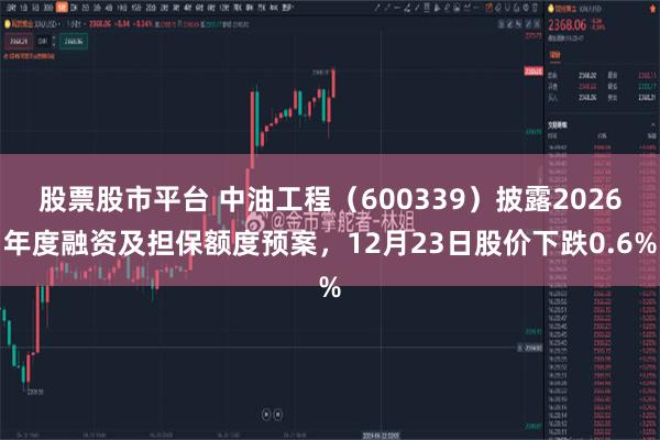 股票股市平台 中油工程（600339）披露2026年度融资及担保额度预案，12月23日股价下跌0.6%