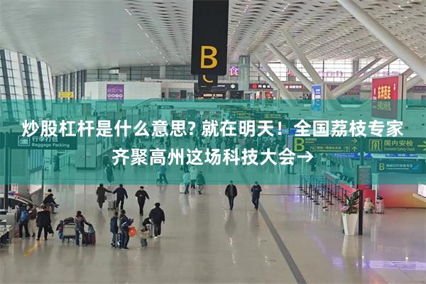 炒股杠杆是什么意思? 就在明天!全国荔枝专家齐聚高州这场科技大会→