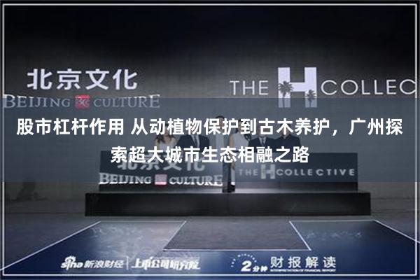 股市杠杆作用 从动植物保护到古木养护，广州探索超大城市生态相融之路