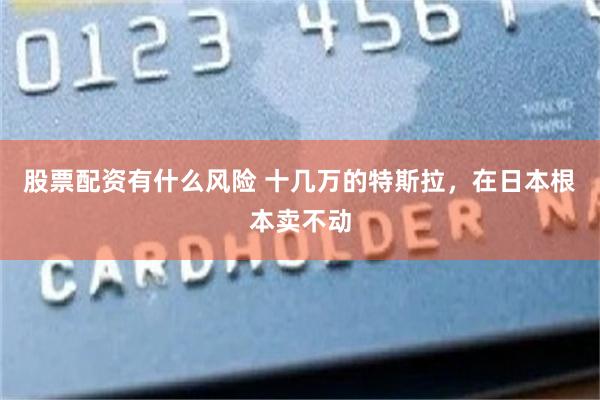 股票配资有什么风险 十几万的特斯拉，在日本根本卖不动
