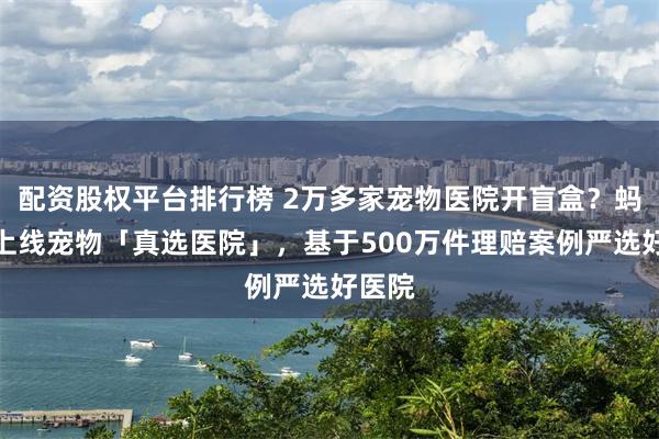配资股权平台排行榜 2万多家宠物医院开盲盒？蚂蚁保上线宠物「真选医院」，基于500万件理赔案例严选好医院