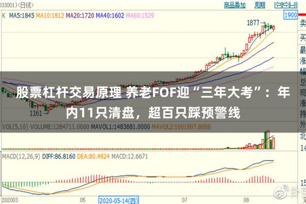 股票杠杆交易原理 养老FOF迎“三年大考”：年内11只清盘，超百只踩预警线