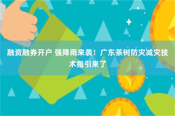融资融券开户 强降雨来袭！广东茶树防灾减灾技术指引来了