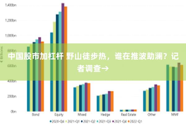 中国股市加杠杆 野山徒步热，谁在推波助澜？记者调查→