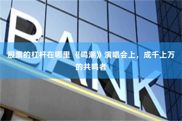 股票的杠杆在哪里 《鸣潮》演唱会上，成千上万的共鸣者