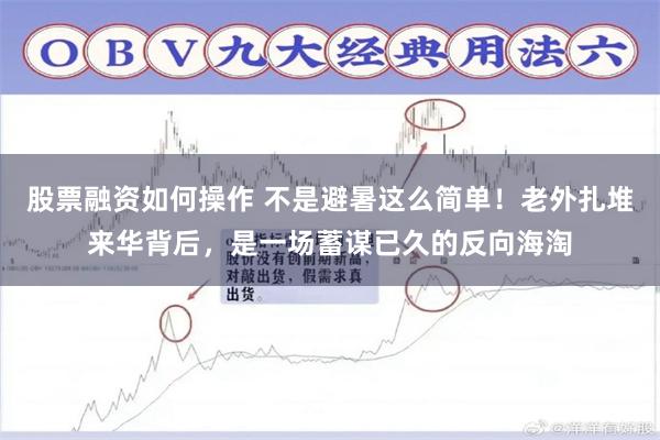 股票融资如何操作 不是避暑这么简单!老外扎堆来华背后,是一场蓄谋已久的反向海淘
