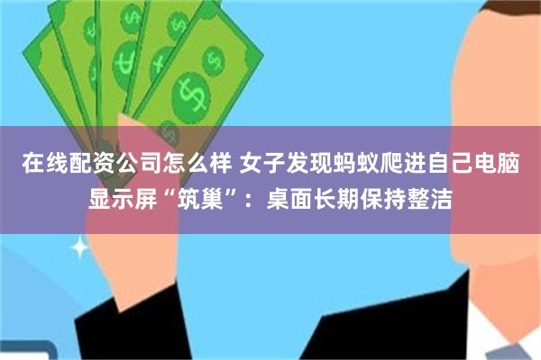 在线配资公司怎么样 女子发现蚂蚁爬进自己电脑显示屏“筑巢”：桌面长期保持整洁