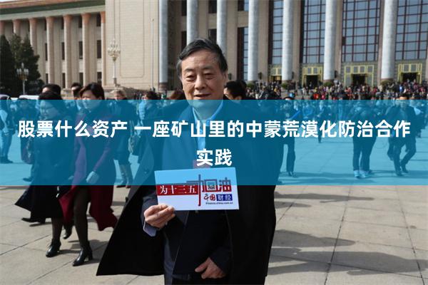 股票什么资产 一座矿山里的中蒙荒漠化防治合作实践