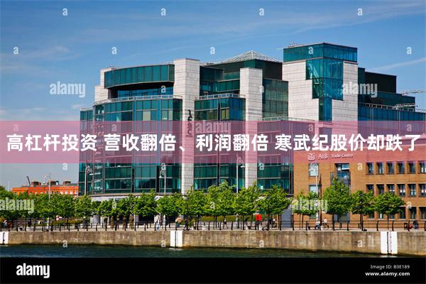 高杠杆投资 营收翻倍、利润翻倍 寒武纪股价却跌了
