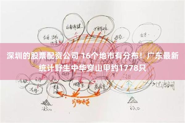 深圳的股票配资公司 16个地市有分布！广东最新统计野生中华穿山甲约1778只