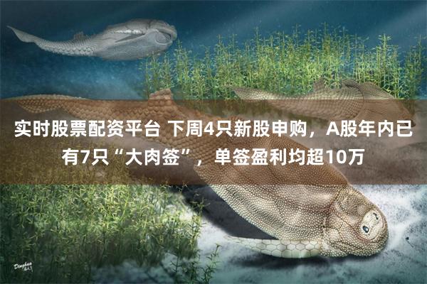 实时股票配资平台 下周4只新股申购，A股年内已有7只“大肉签”，单签盈利均超10万