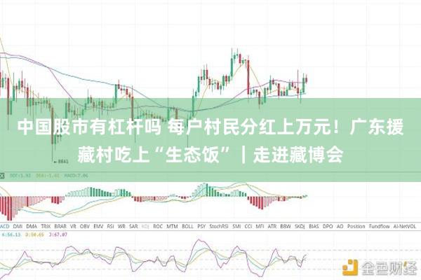 中国股市有杠杆吗 每户村民分红上万元！广东援藏村吃上“生态饭”｜走进藏博会