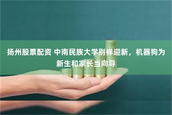 扬州股票配资 中南民族大学别样迎新,机器狗为新生和家长当向导