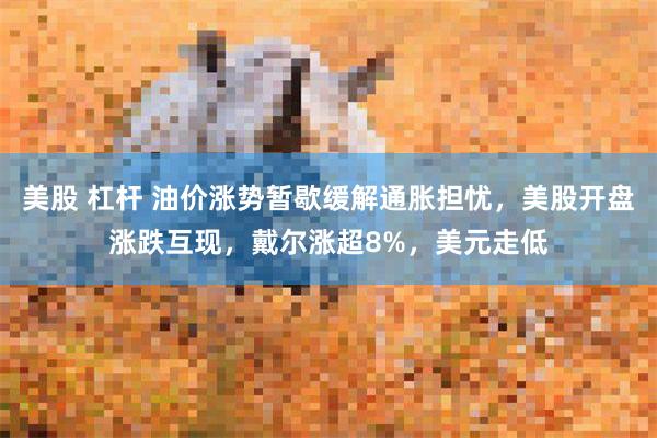 美股 杠杆 油价涨势暂歇缓解通胀担忧，美股开盘涨跌互现，戴尔涨超8%，美元走低