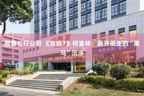 股票杠杆公司 《浪姐7》何宣林：高开低走的“黑马”沉浮