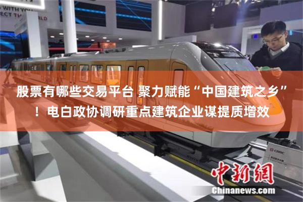 股票有哪些交易平台 聚力赋能“中国建筑之乡”！电白政协调研重点建筑企业谋提质增效