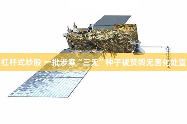 杠杆式炒股 一批涉案“三无”种子被焚毁无害化处置