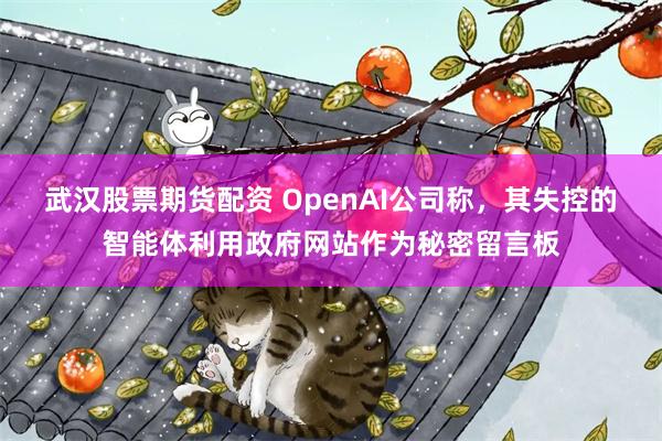 武汉股票期货配资 OpenAI公司称，其失控的智能体利用政府网站作为秘密留言板