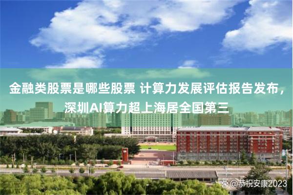 金融类股票是哪些股票 计算力发展评估报告发布，深圳AI算力超上海居全国第三
