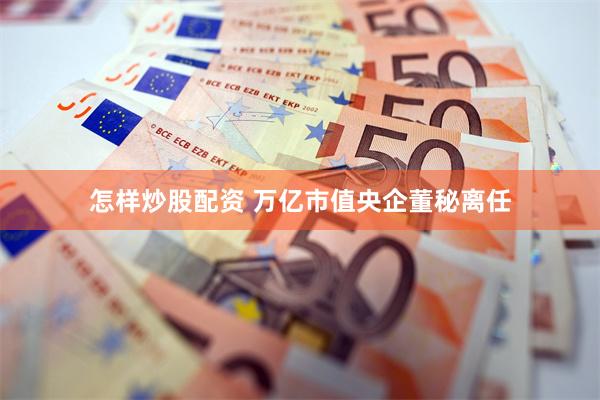 怎样炒股配资 万亿市值央企董秘离任